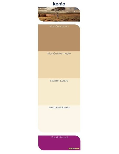 PINTURA PLASTICA ESCANDINAVIA GRIS SUAVE