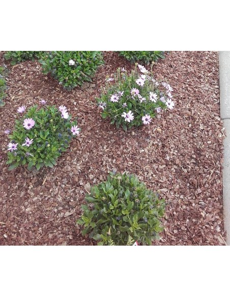 Corteza de pino natural en saco de 50 litros para jardín