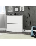 ZAPATERO 2 PUERTAS BLANCO 7873