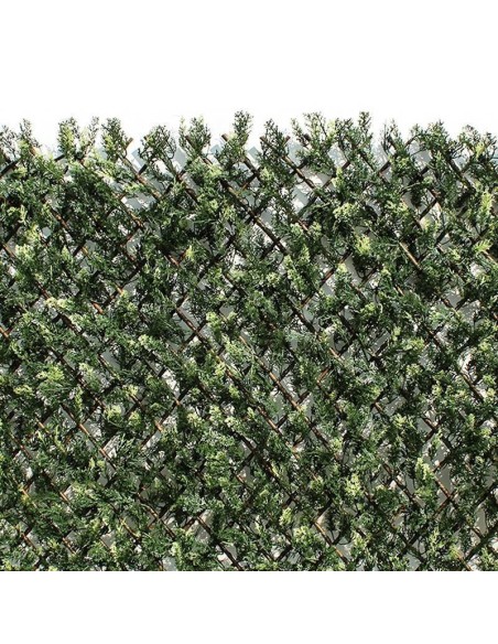 Celosía Extensible con Brotes de Ciprés