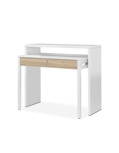 CONSOLA ESCRITORIO