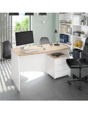 MESA DESPACHO CON BUC ARGON