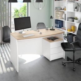 MESA DESPACHO CON BUC ARGON