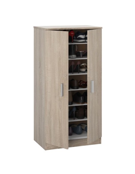 Zapatero Basic 2 Puertas