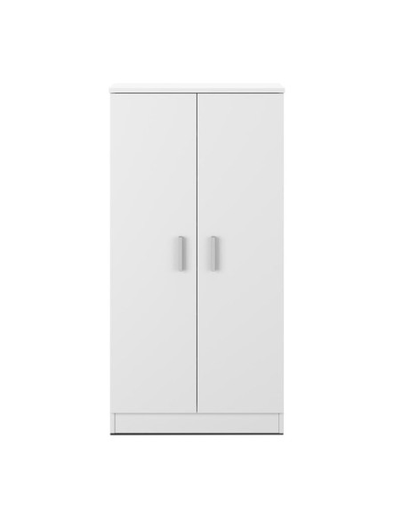 Zapatero Basic 2 Puertas