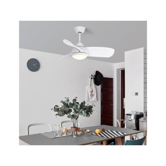 Ventilador de techo con luz Beach
