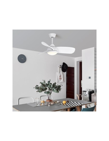 Ventilador de techo con luz Beach