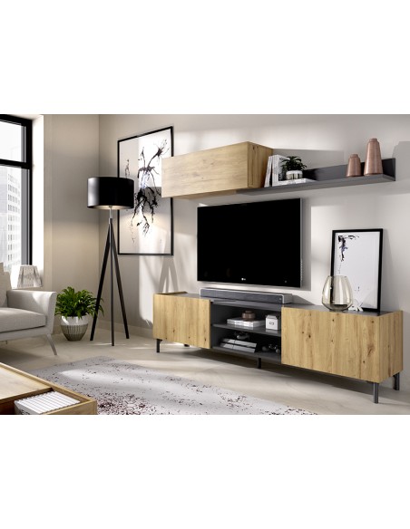 MUEBLE DE SALON COMPACTO TV TASS