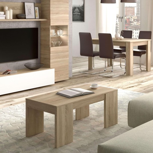 Mesa de centro moderna con tapa elevable y almacenamiento