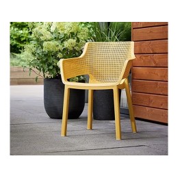 Silla Elisa mostaza de resina – Silla moderna para interior y exterior resistente y ligera
