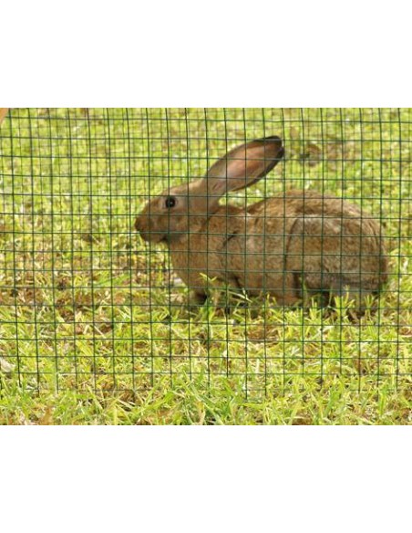 MALLA HEXAGONAL GALVANIZADA 0,5x10 m