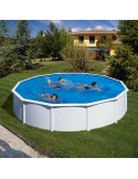 PISCINA FIDJI 350