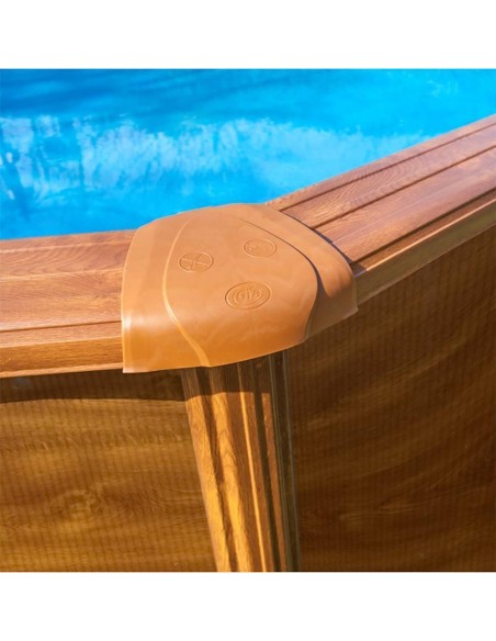 PISCINA PACIFIC 460:
