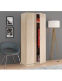 Armario Low Cost 2 puertas acabado roble