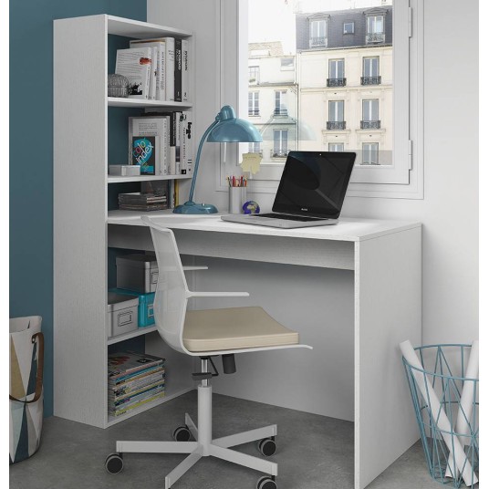 MESA + ESTANTERIA GIO