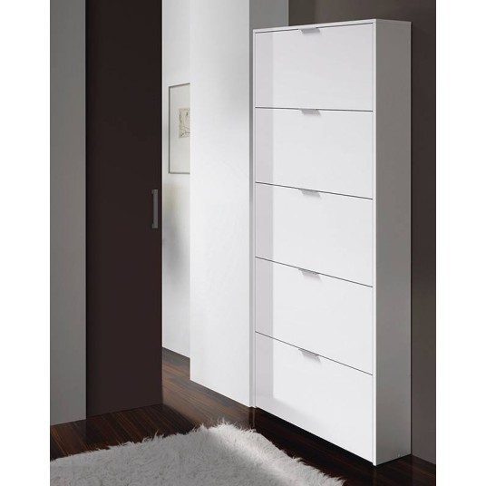 ZAPATERO 5 PUERTAS ABATIBLES