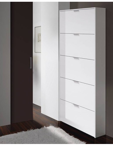 ZAPATERO 5 PUERTAS ABATIBLES
